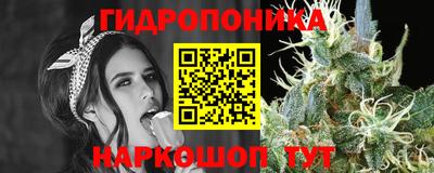 мяу мяу мука Гусь-Хрустальный