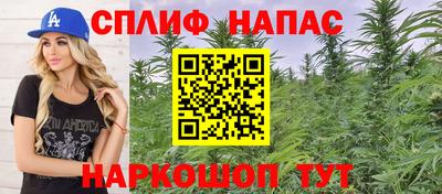 мяу мяу мука Гусь-Хрустальный