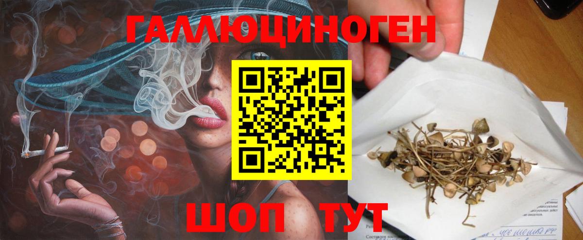 Галлюциногенные грибы Magic Shrooms Куйбышев